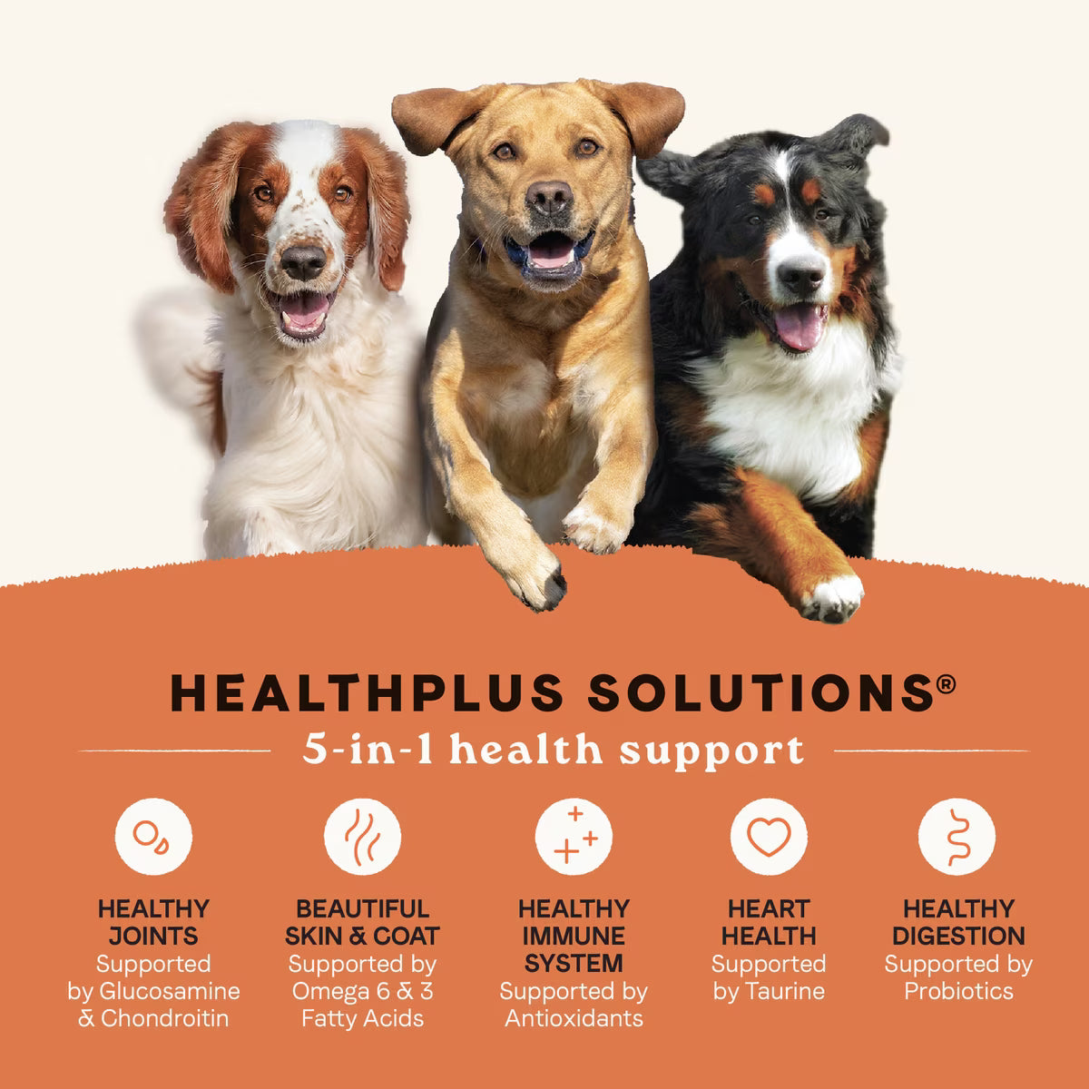 CANIDAE All Life Stages Multi-Protein Chicken High Protein Recipe Dry Dog Food 5 LB