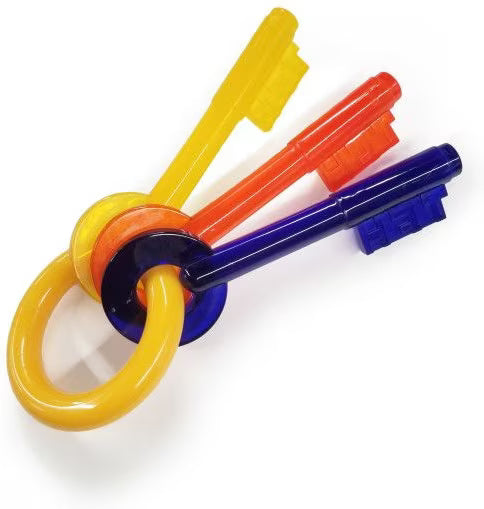 PUPPY KEYS XSMALL