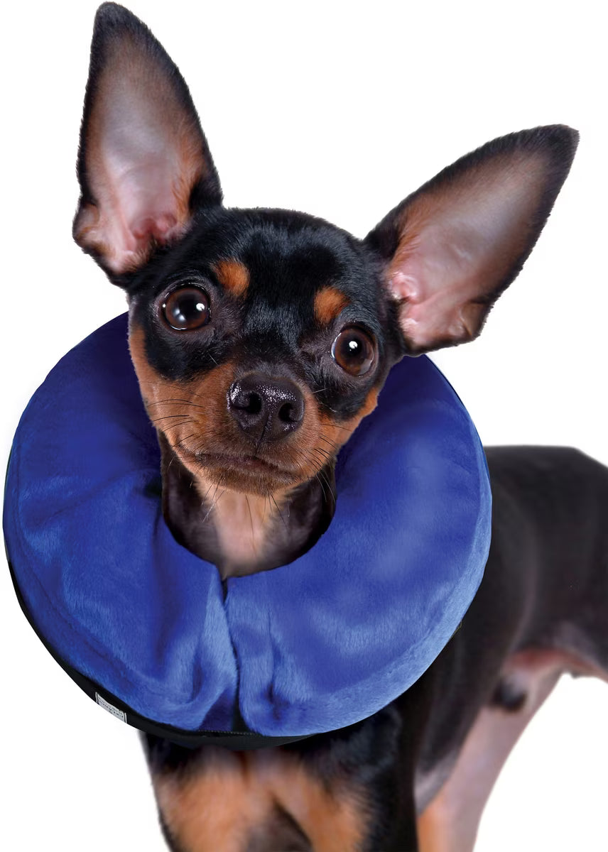 Kong Cloud Collar X- Small