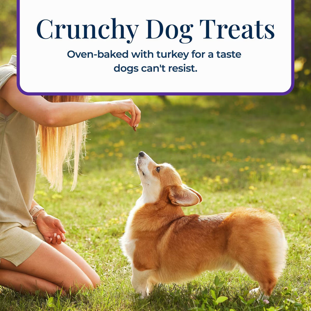 Blue Buffalo Basics Skin & Stomach Care Turkey & Potato Recipe Dog Biscuits 6oz