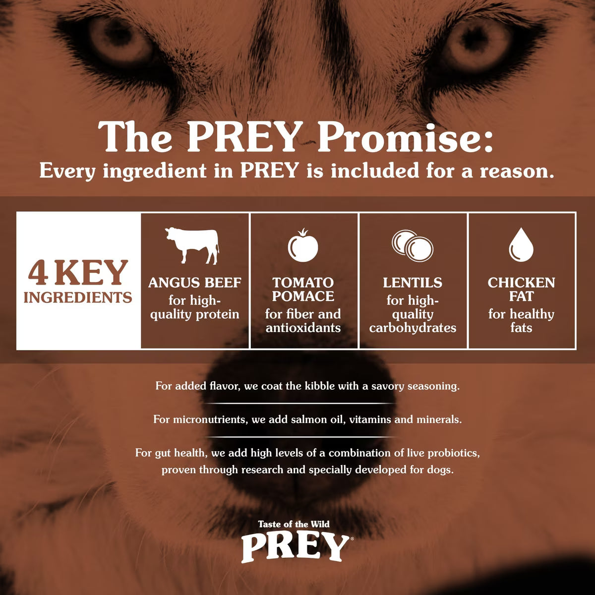 Taste of the Wild PREY Angus Beef Recipe Dry Dog Food 8lb