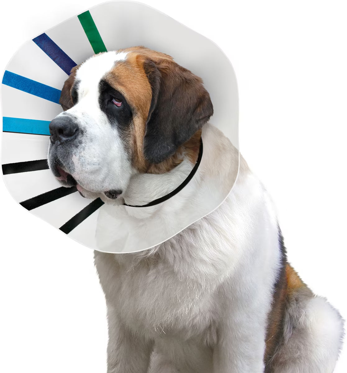 KONG E-COLLAR KONG LRG 12-14"