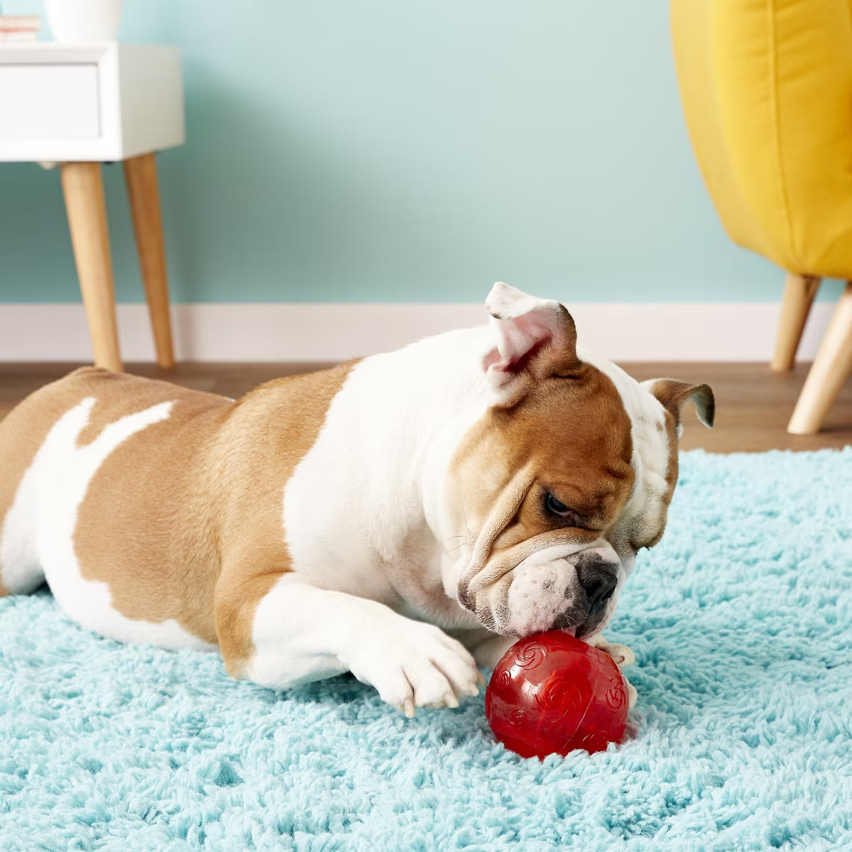 Kong Squeezz Ball X