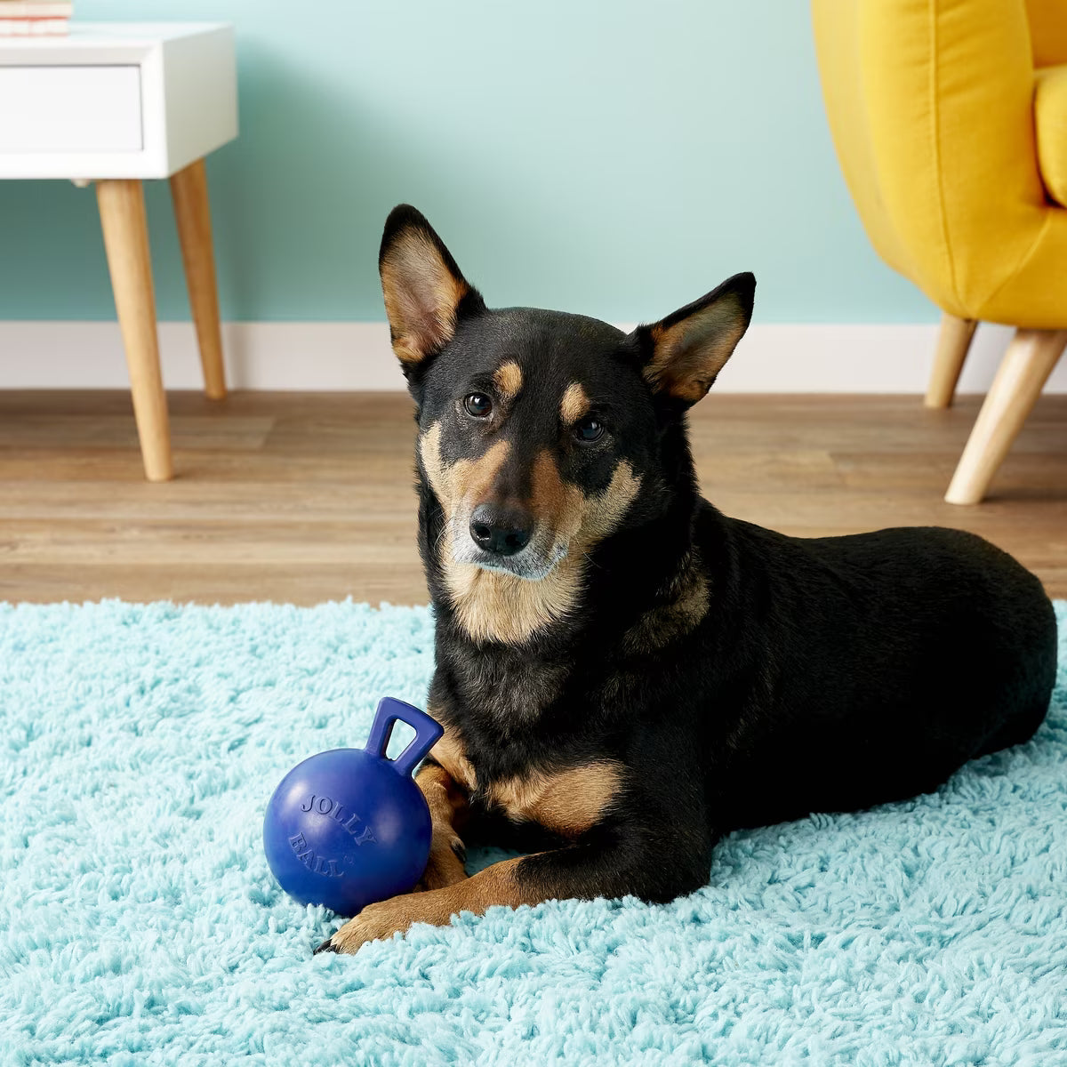 Jolly Pets Tug-n-Toss Mini Dog Toy, Blue, 4-in