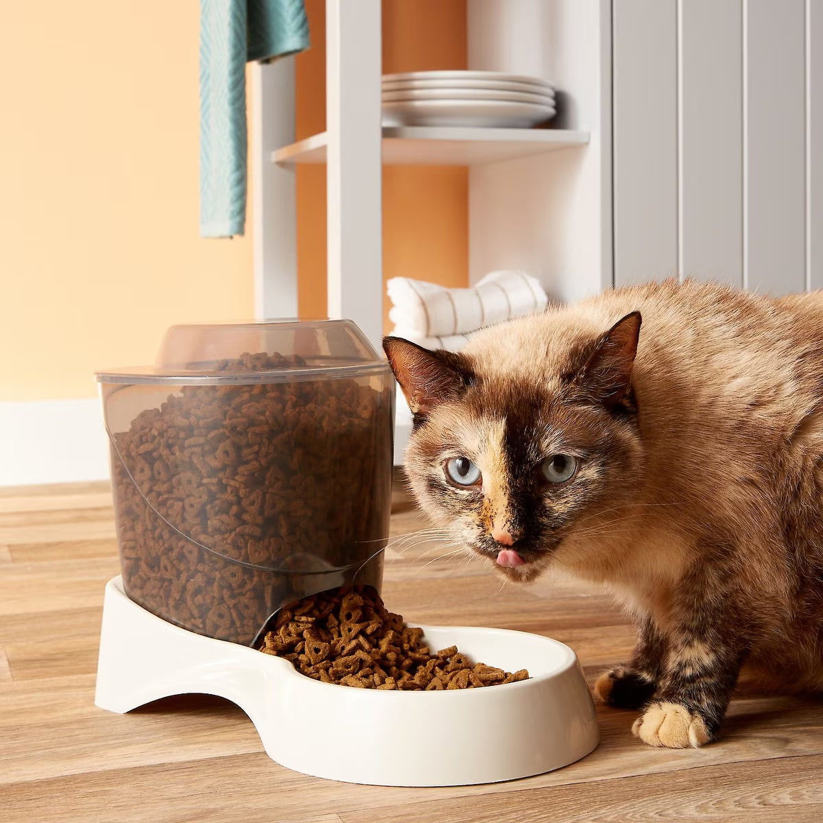 AUTO CAT FEEDER 3LB