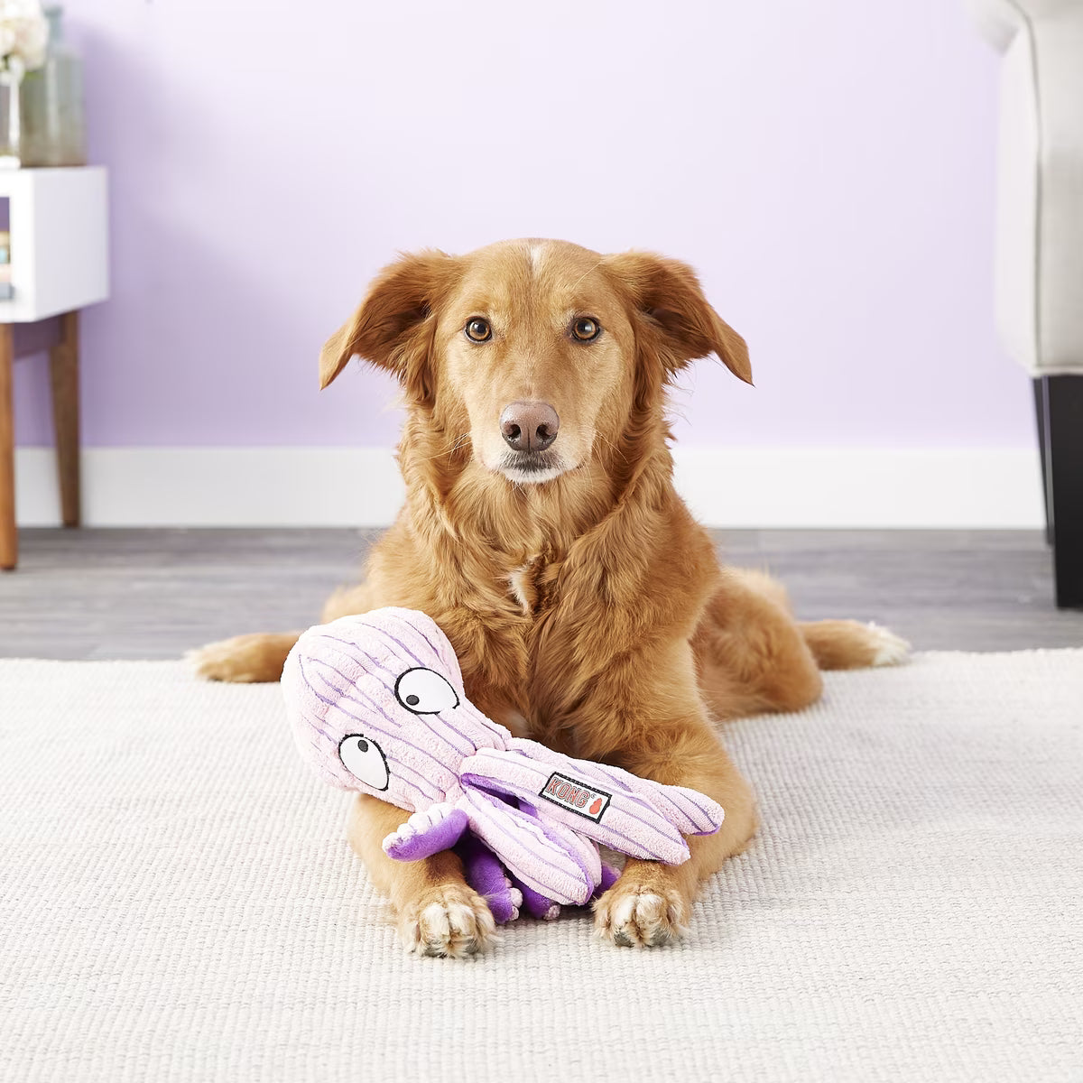 Kong CuteSeas Plush Octopus Dog Toy Large