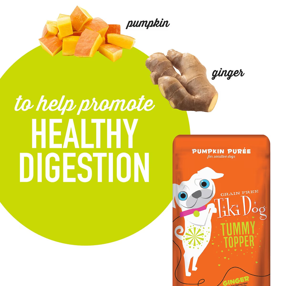 Tiki Dog Tummy Topper Pumpkin & Ginger Puree Grain-Free Wet Dog Food Topper 1.5oz