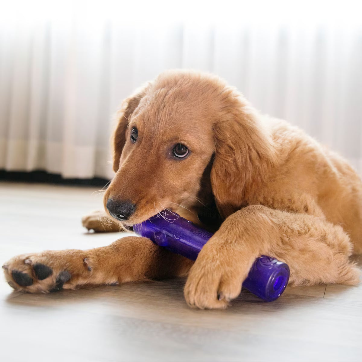 Kong Squeezz Stick L