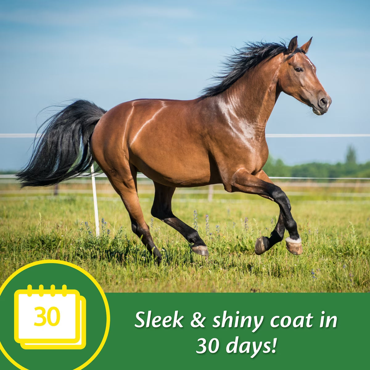 Farnam Super 14 Healthy Skin 7 Coat Granules for Horses 2.7lb