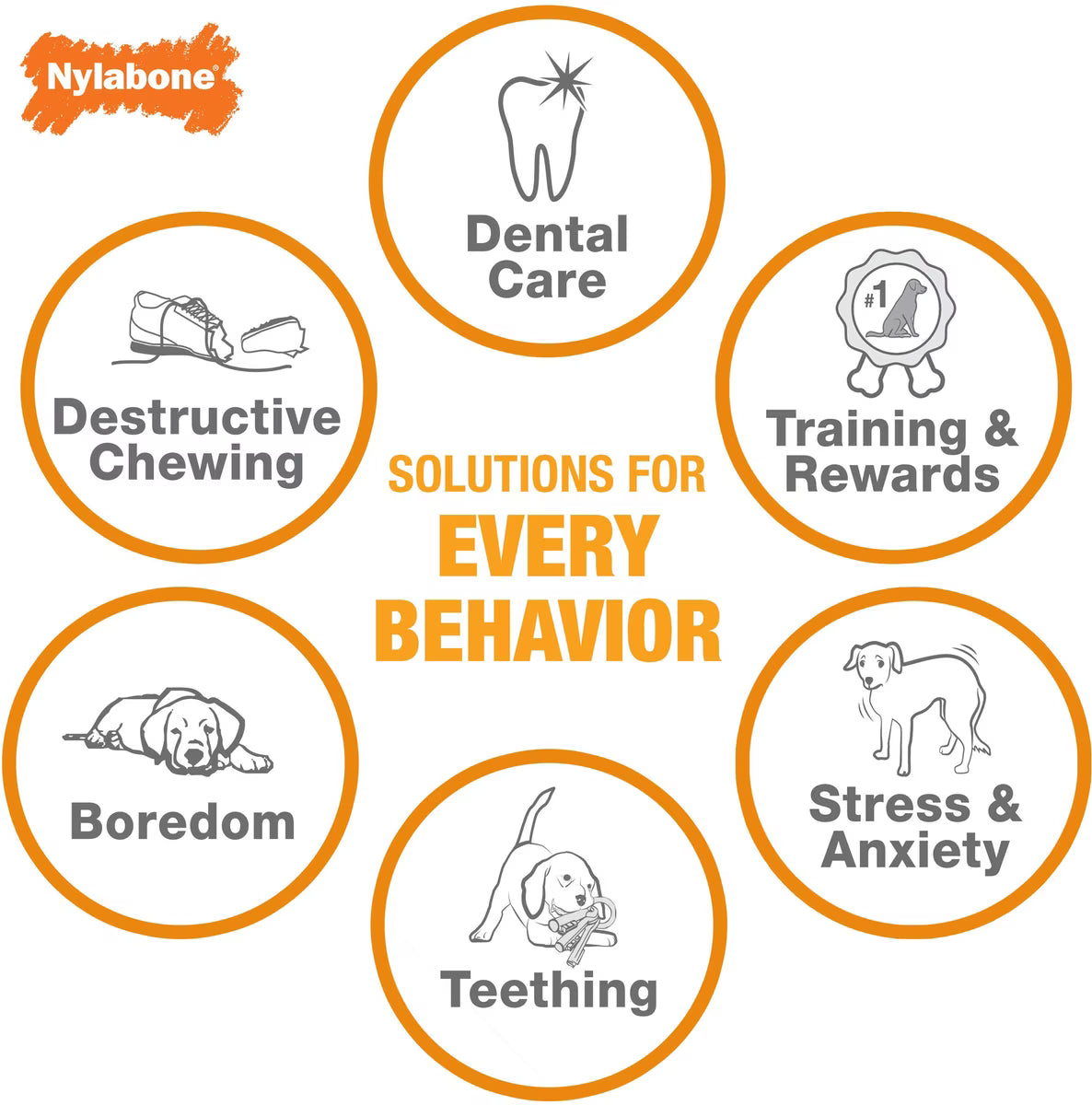 Nylabone PRO Action Dental Power Chew Bacon Flavor Medium
