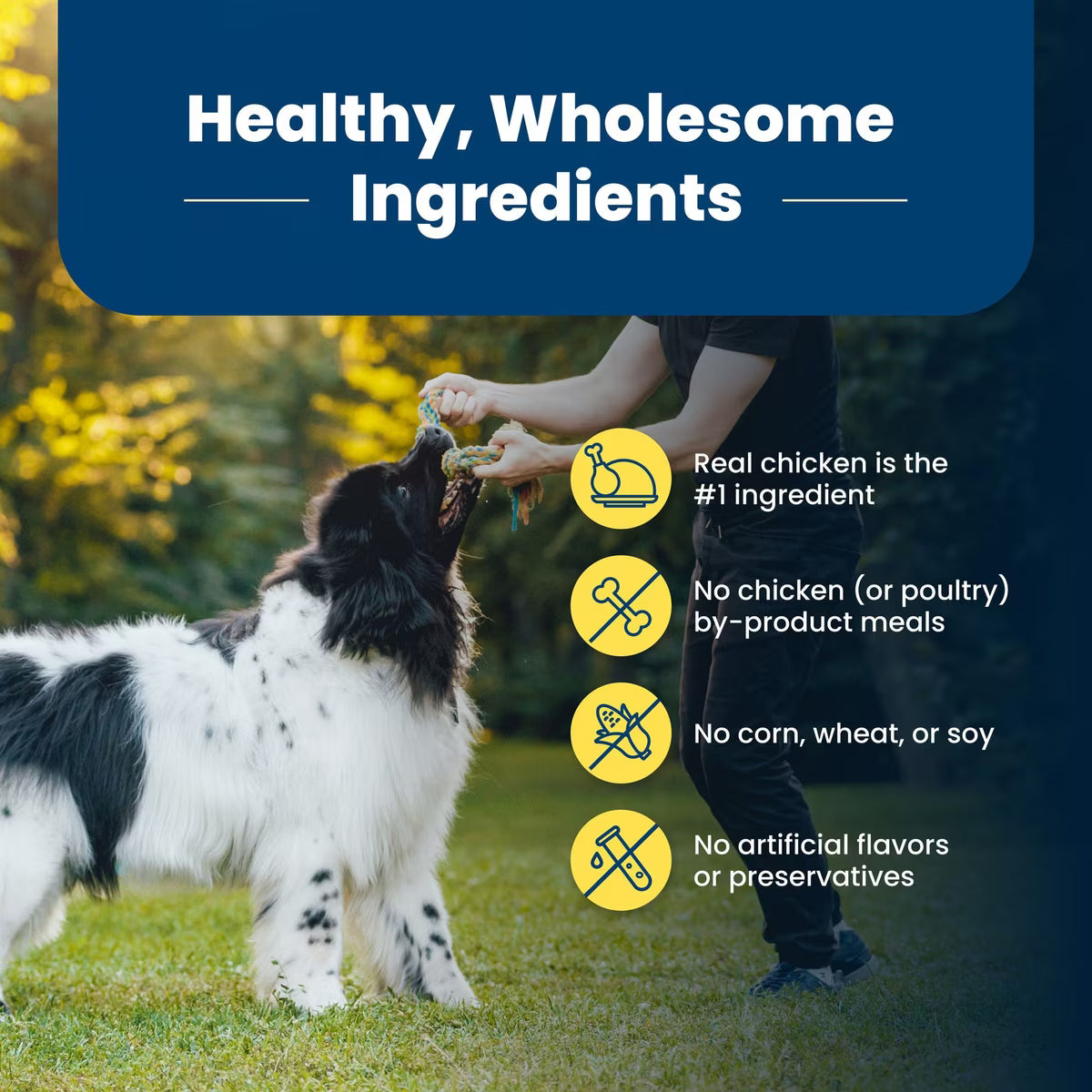 Blue Buffalo Life Protection Formula Healthy Weight Adult Chicken & Brown Rice Recipe Dry Dog Food 5LB