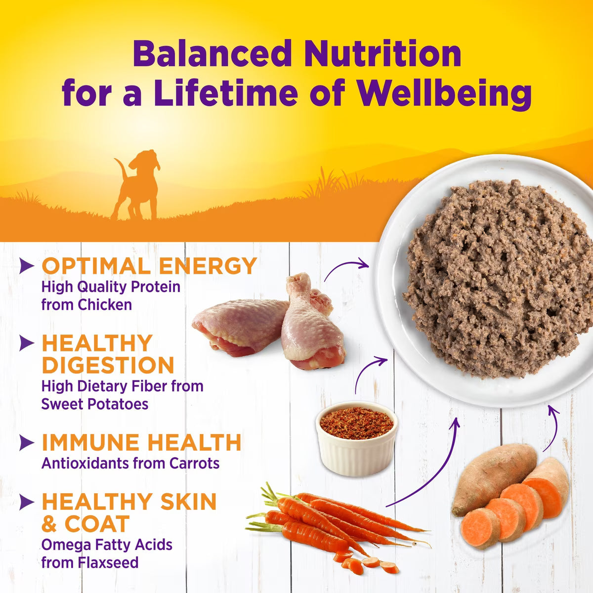 Wellness Complete Health Puppy Canned Dog Food 12.5oz