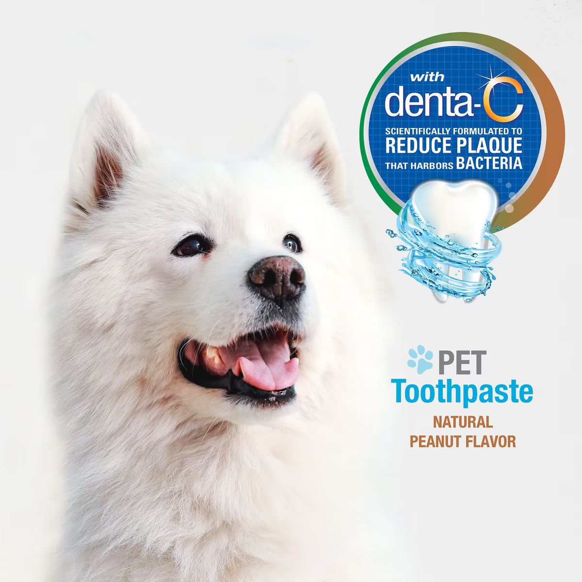 Nylabone Advanced Oral Care Natural Peanut Flavor Dog Toothpaste 2.5oz