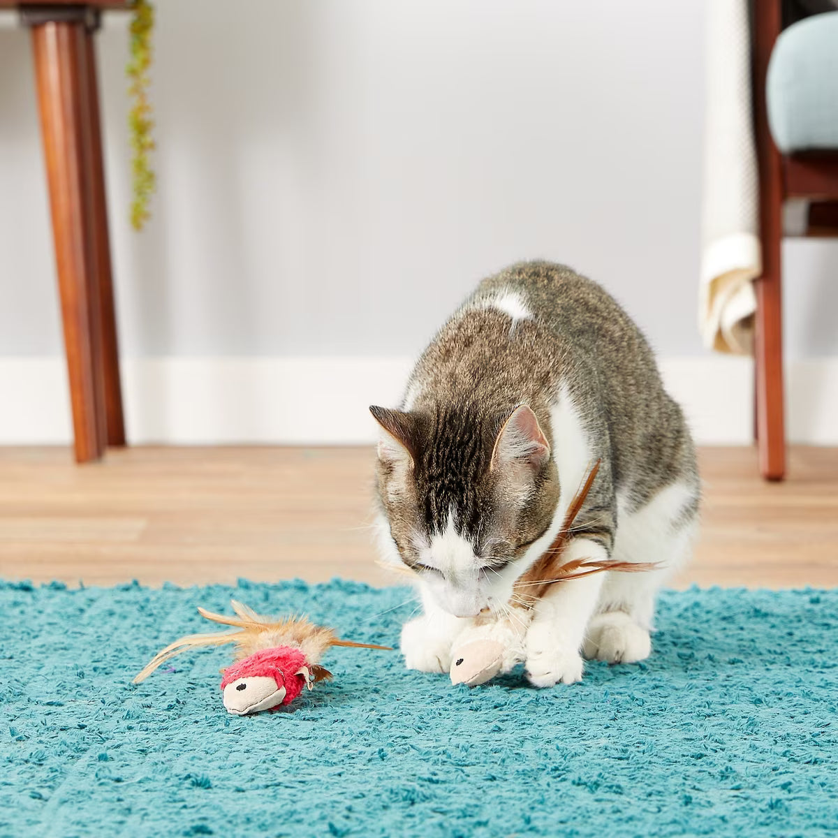 KONG Cat Crinkle Fish
