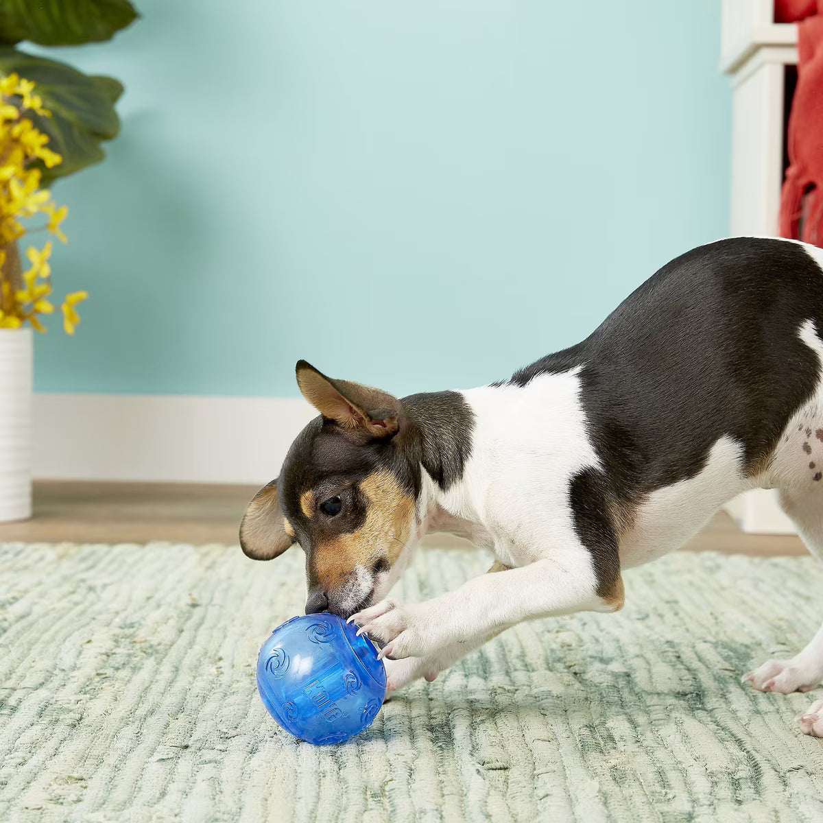 Kong Squeezz Ball M