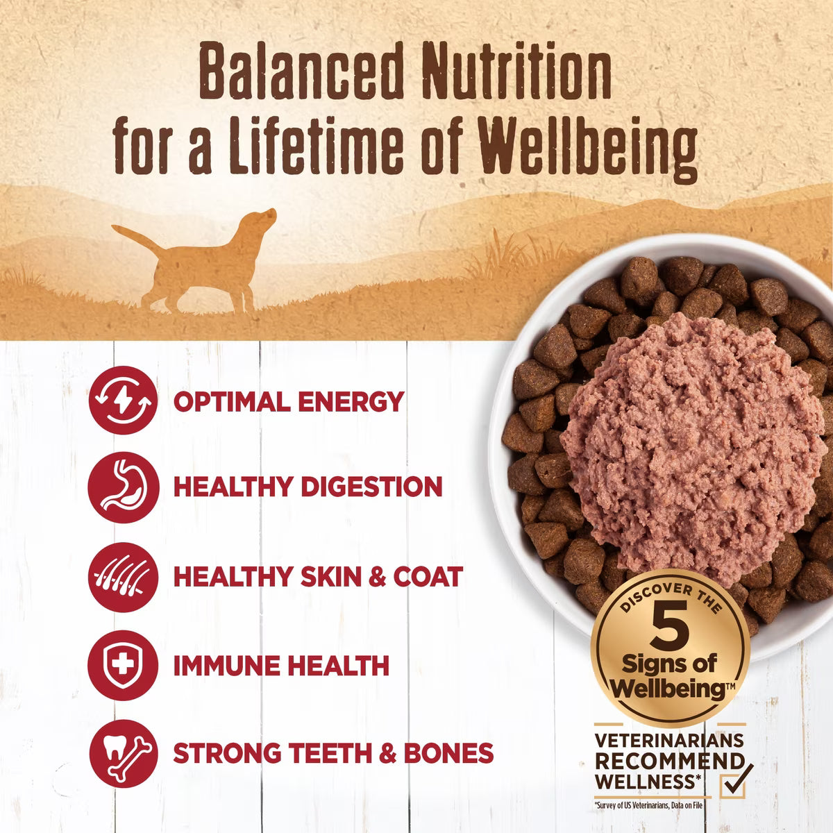 Wellness 95% Beef Grain-Free Canned Dog Food 13.2oz