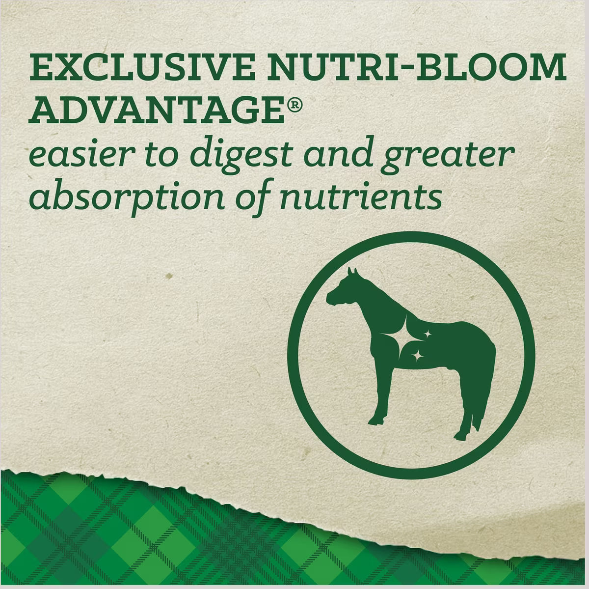 Nutrena SafeChoice Senior with Molasses Horse Feed 50lb