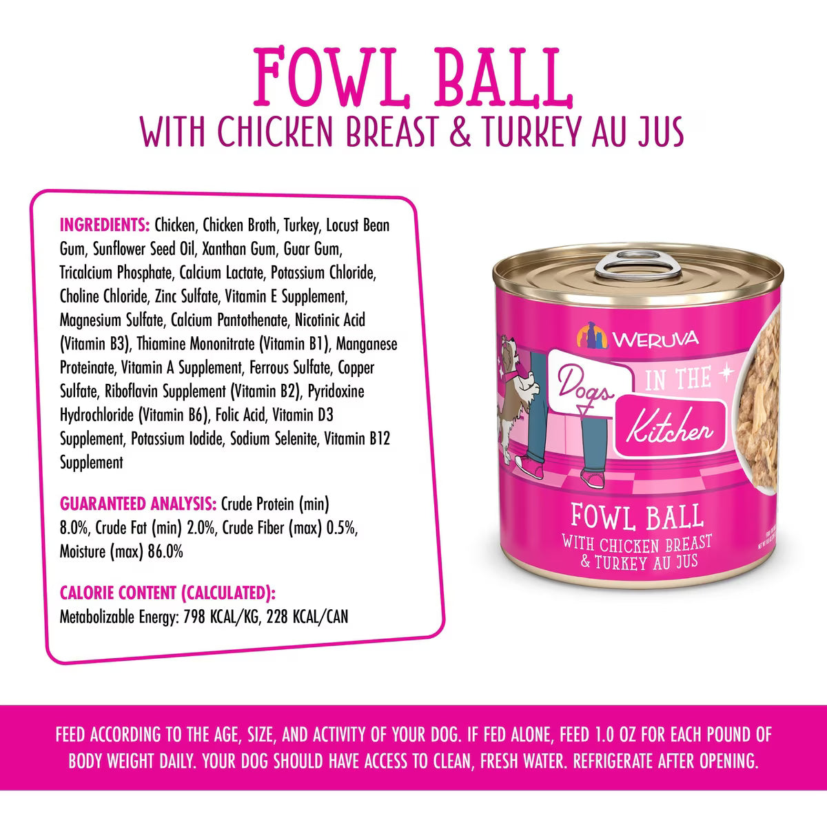Weruva Dogs in the Kitchen Fowl Ball with Chicken Breast & Turkey Au Jus Grain-Free Canned Dog Food 10oz
