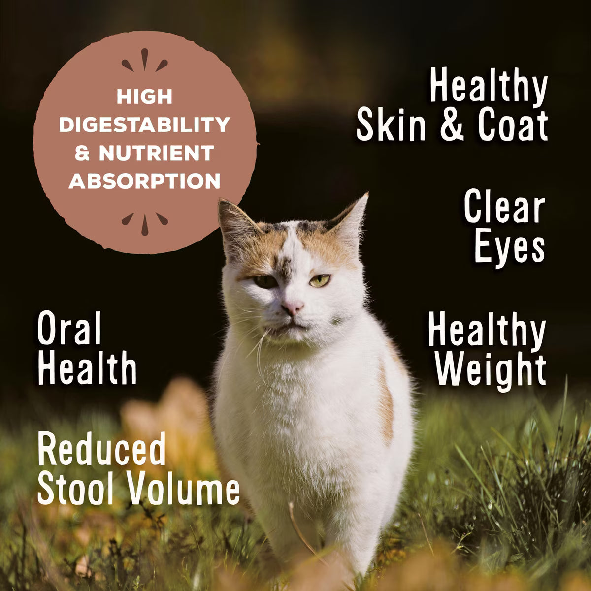 Primal Freeze-Dried Nuggets Turkey Recipe for Cats 14oz