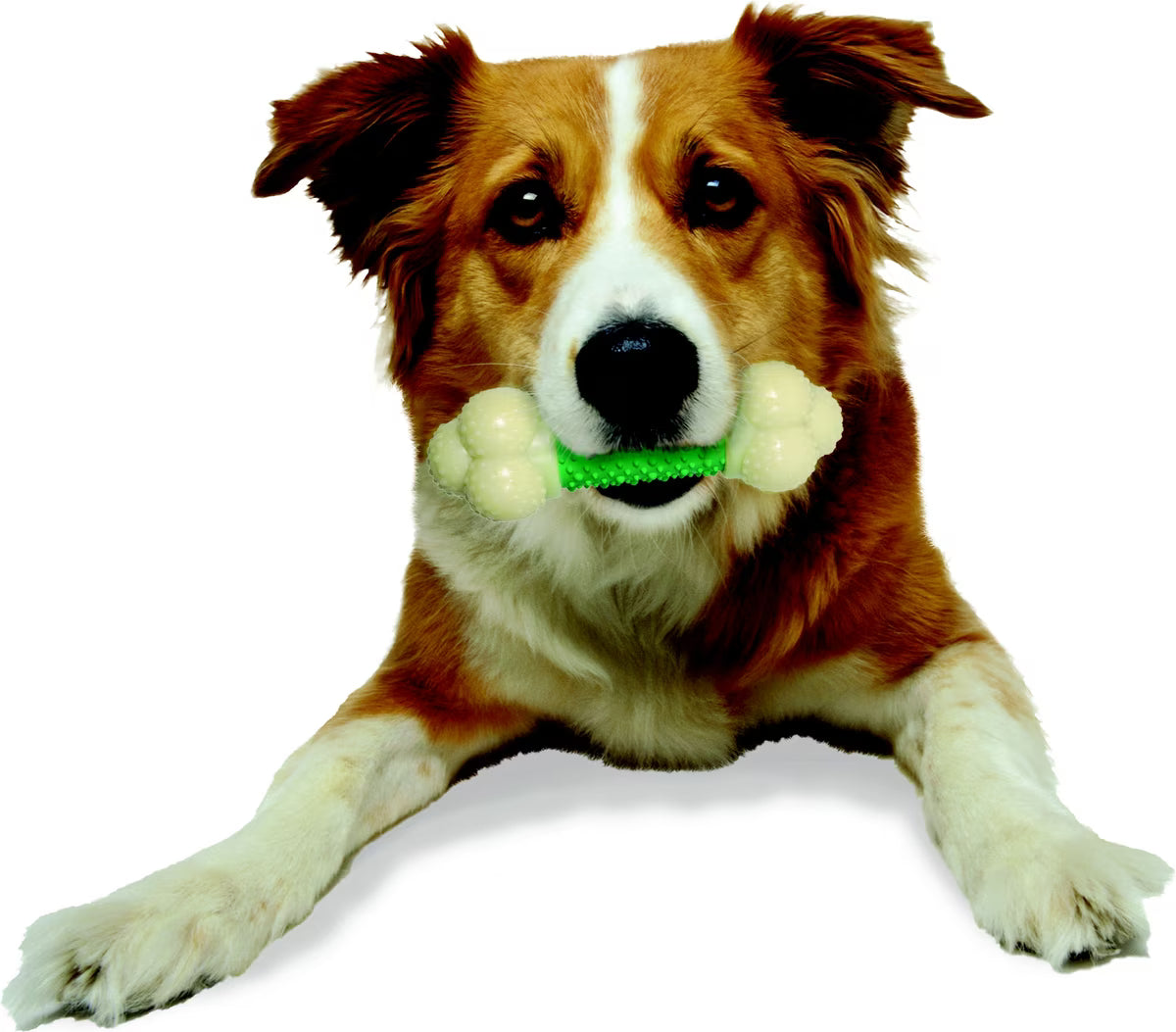 DOUBLE ACTION CHEW BONE WOLF