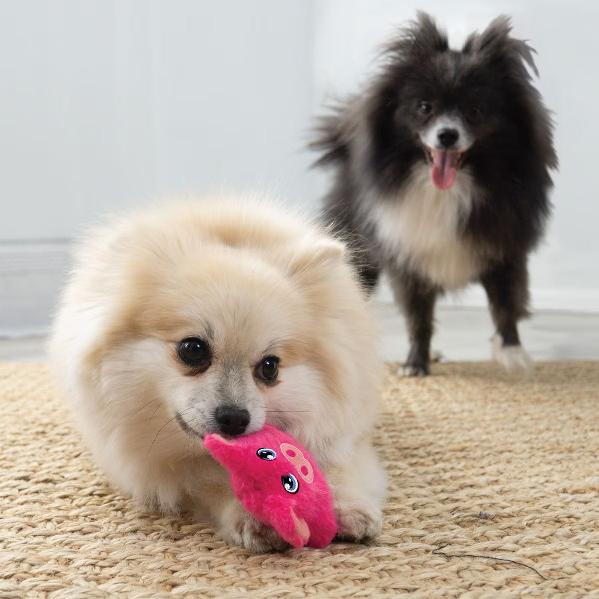 Kong Snuzzles Mini Pig Squeaky Plush Dog Toy XS