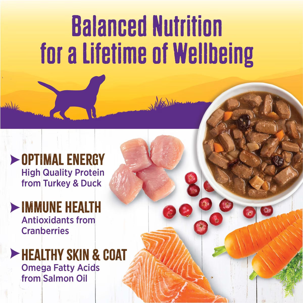 Wellness Turkey & Duck Stew Canned Dog Food 12.5oz
