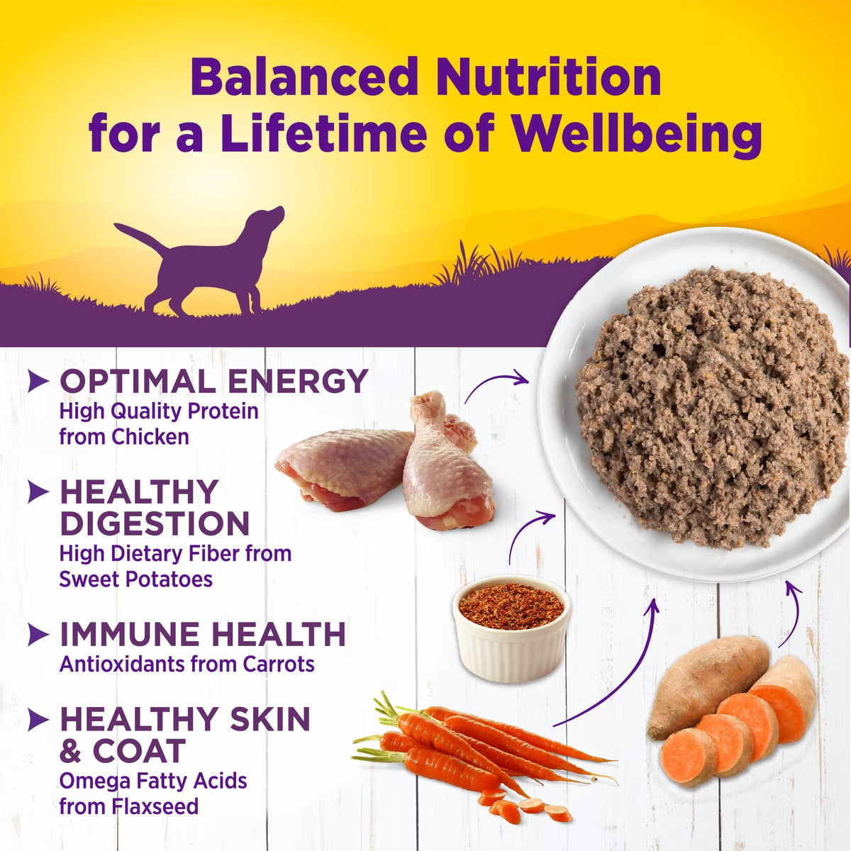 Wellness Complete Health Chicken & Sweet Potato Recipe Canned Dog Food 12.5oz