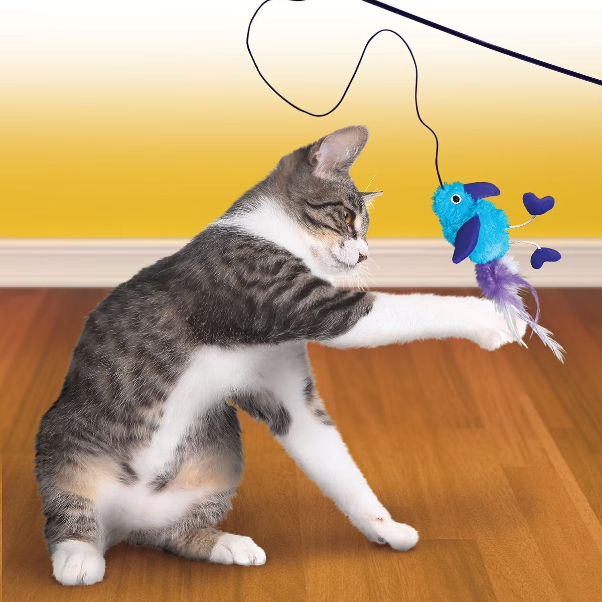 Kong Active Feather Teaser Cat Toy Assorted Colors