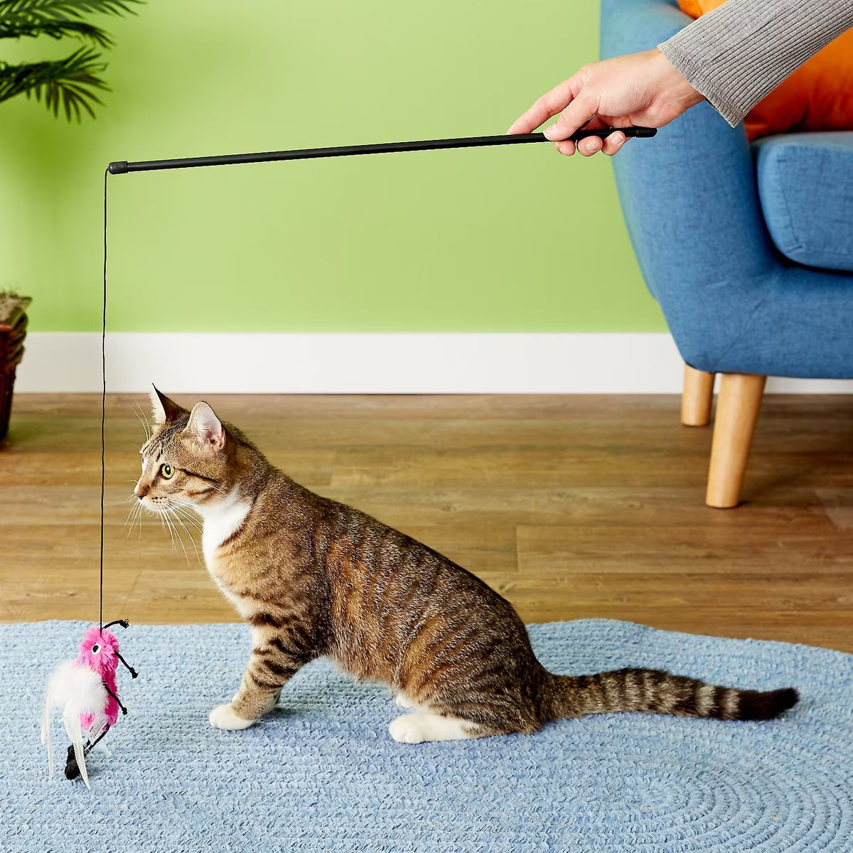 Kong Active Feather Teaser Cat Toy Assorted Colors
