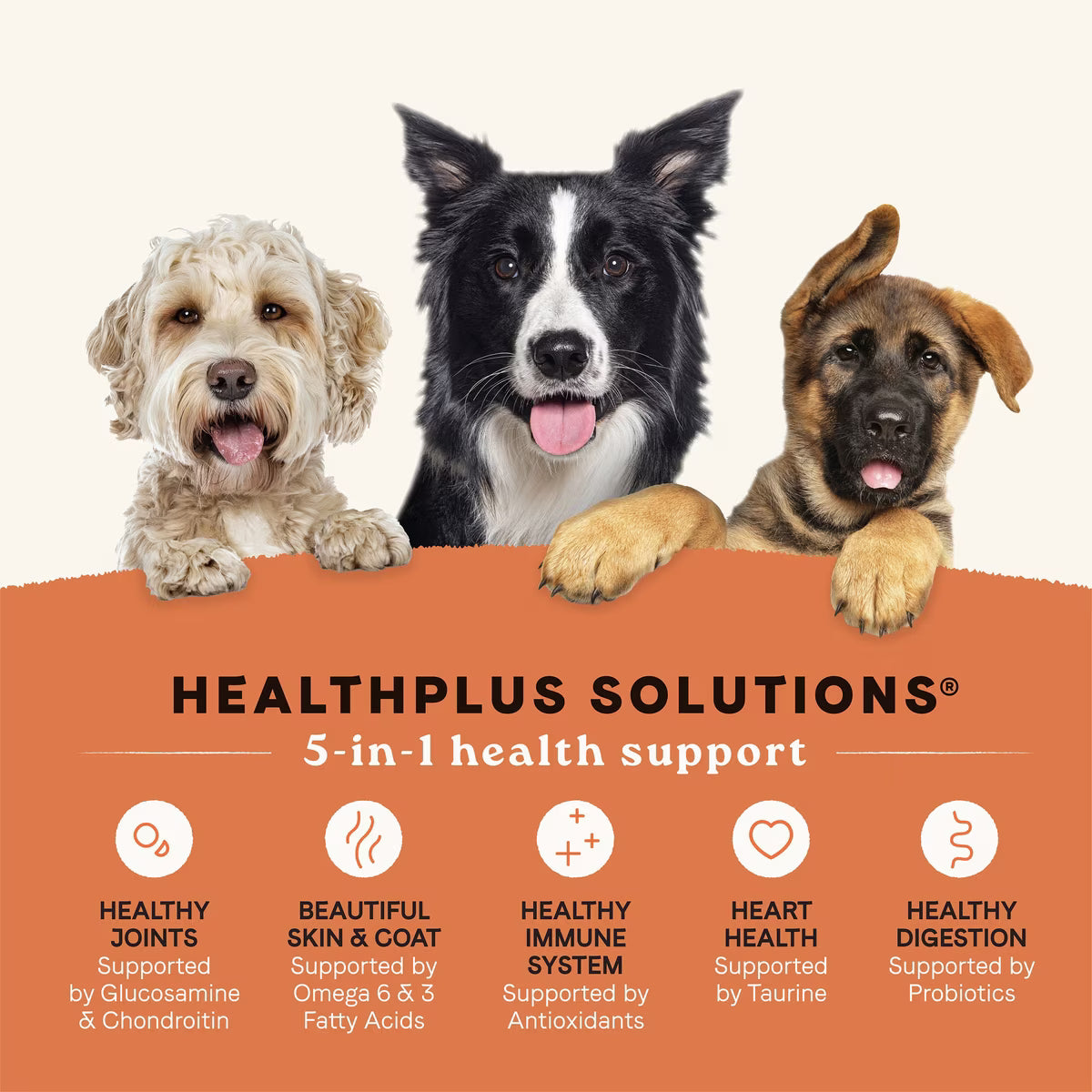 CANIDAE All Life Stages Real Salmon & Ancient Grains Recipe Dry Dog Food 27 lbs