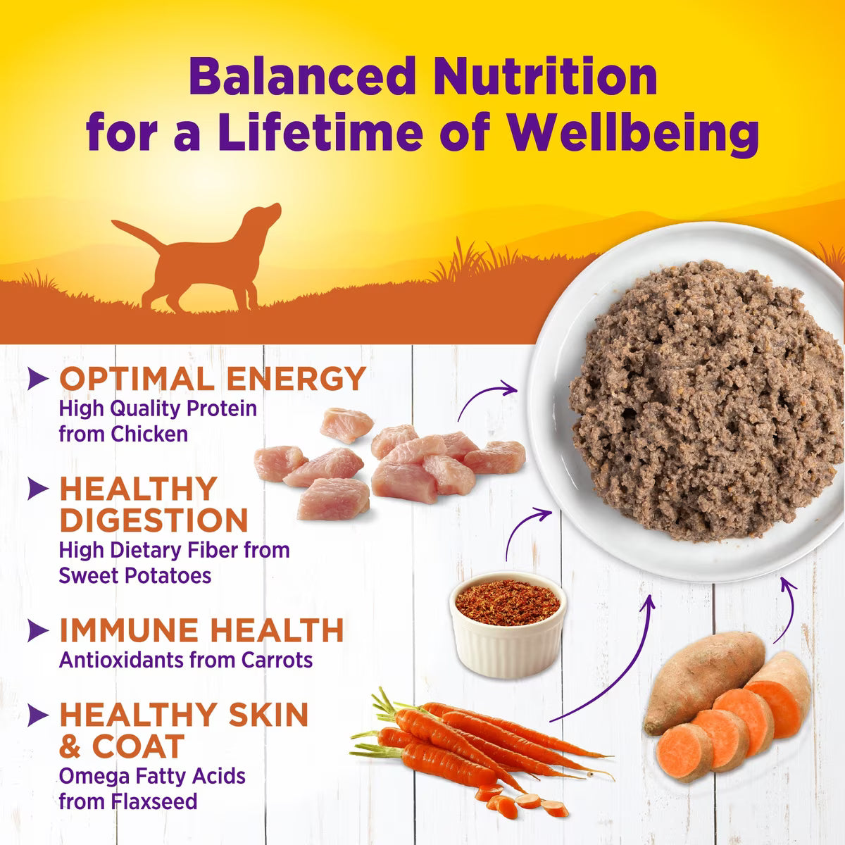 Wellness Complete Health Turkey & Sweet Potato Formula Canned Dog Food 12.5oz