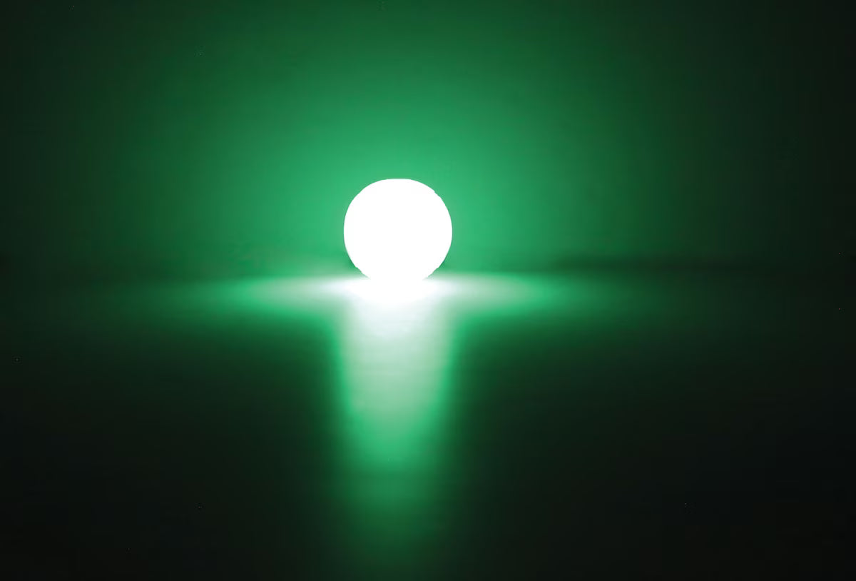 PM Chuckit Lightplay Ball L
