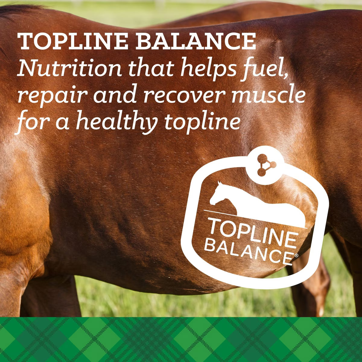 Nutrena SafeChoice Mare & Foal Pellet Horse Feed 50lb