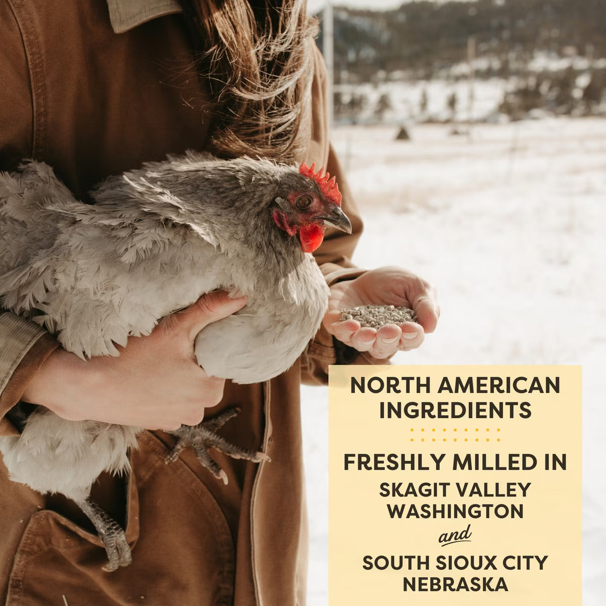 Scratch and Peck 16% Organic Chicken & Duck Layer Pellets with Grubs 35lb