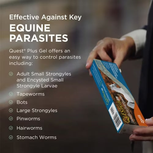 QUEST GEL PLUS 11.6 GM