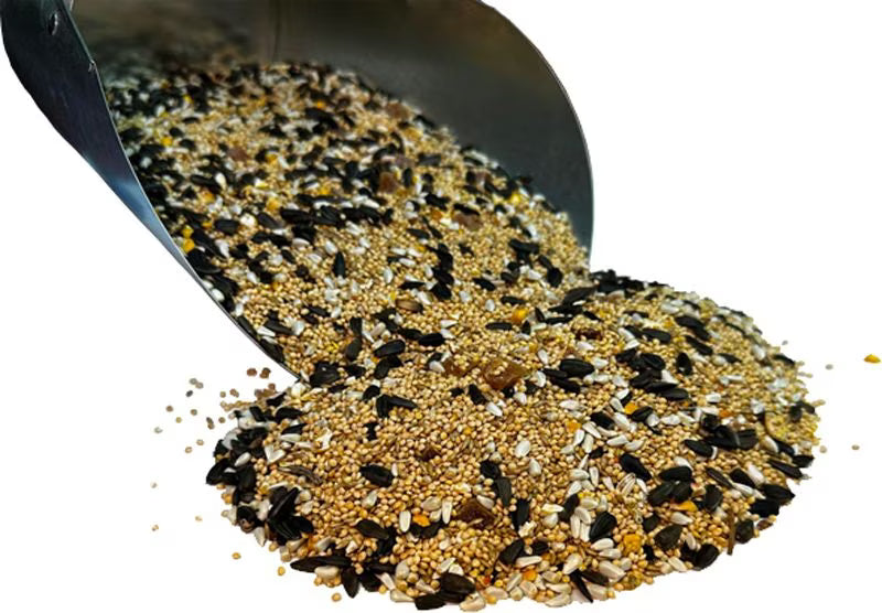 Bar-ALE Cockatiel with Sunflower Seeds Blend 10lb