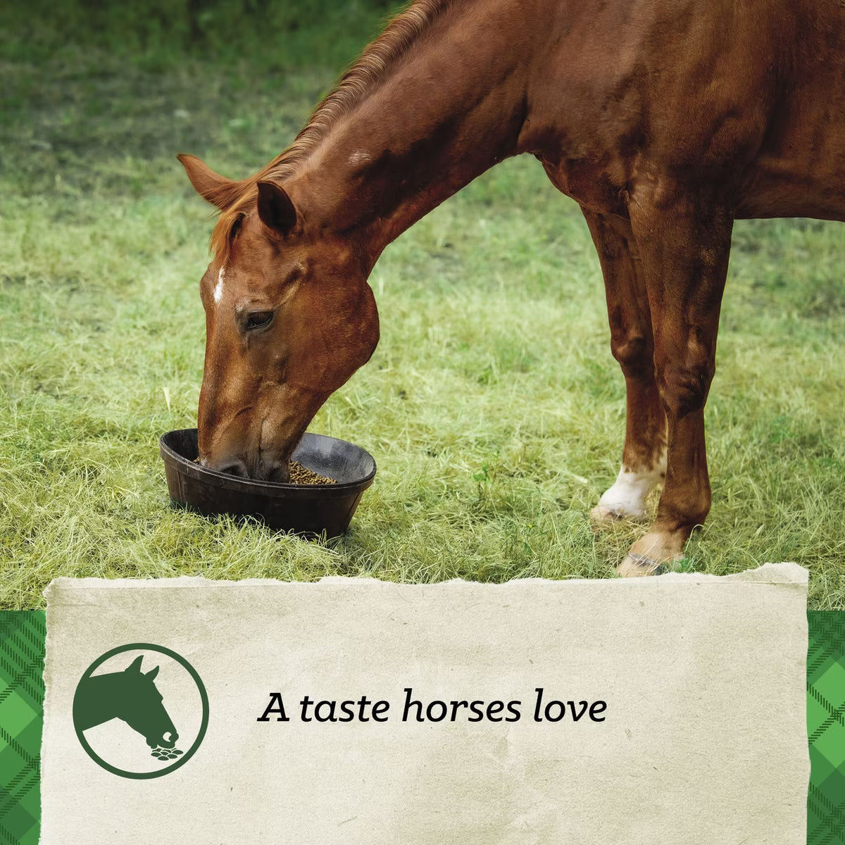 Nutrena SafeChoice Maintenance Horse Feed 50lb