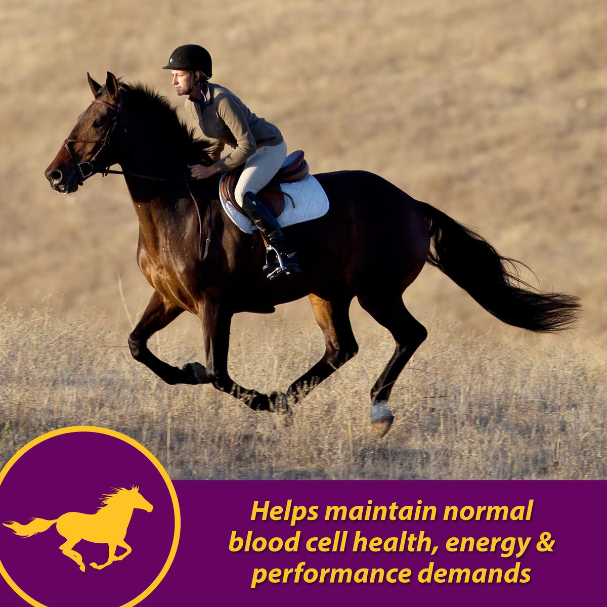 Horse Health Products Red Cell Vitamins & Minerals Liquid Horse Supplement 1gal