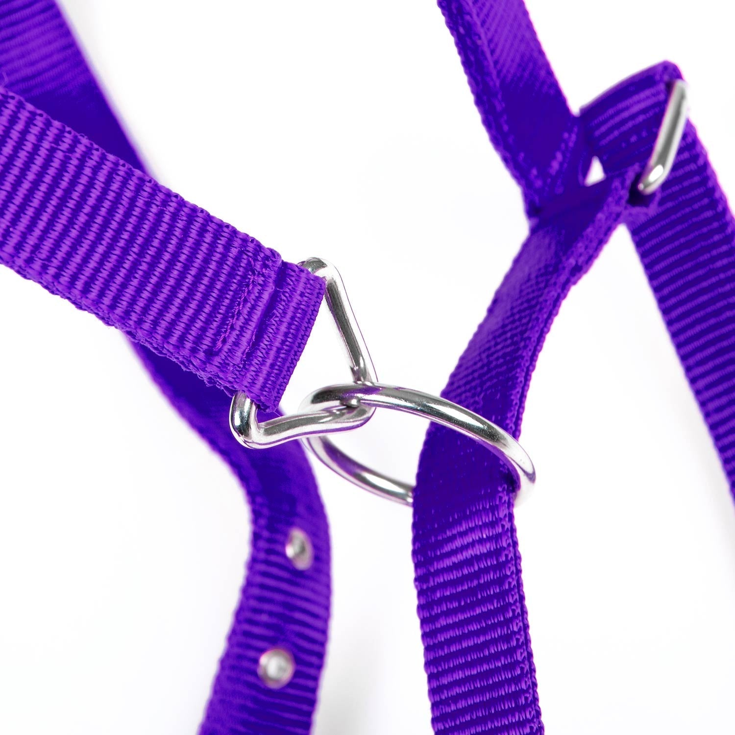 Adjustable Nylon Full Size Horse Halter