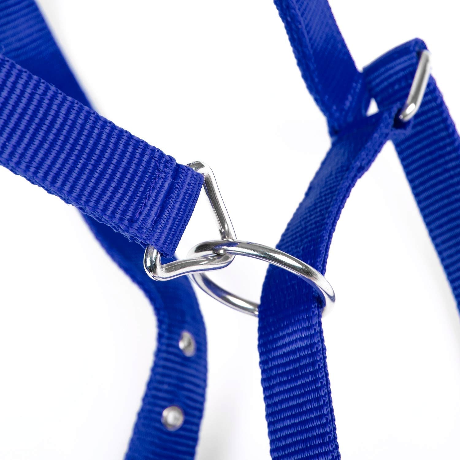 Adjustable Nylon Full Size Horse Halter