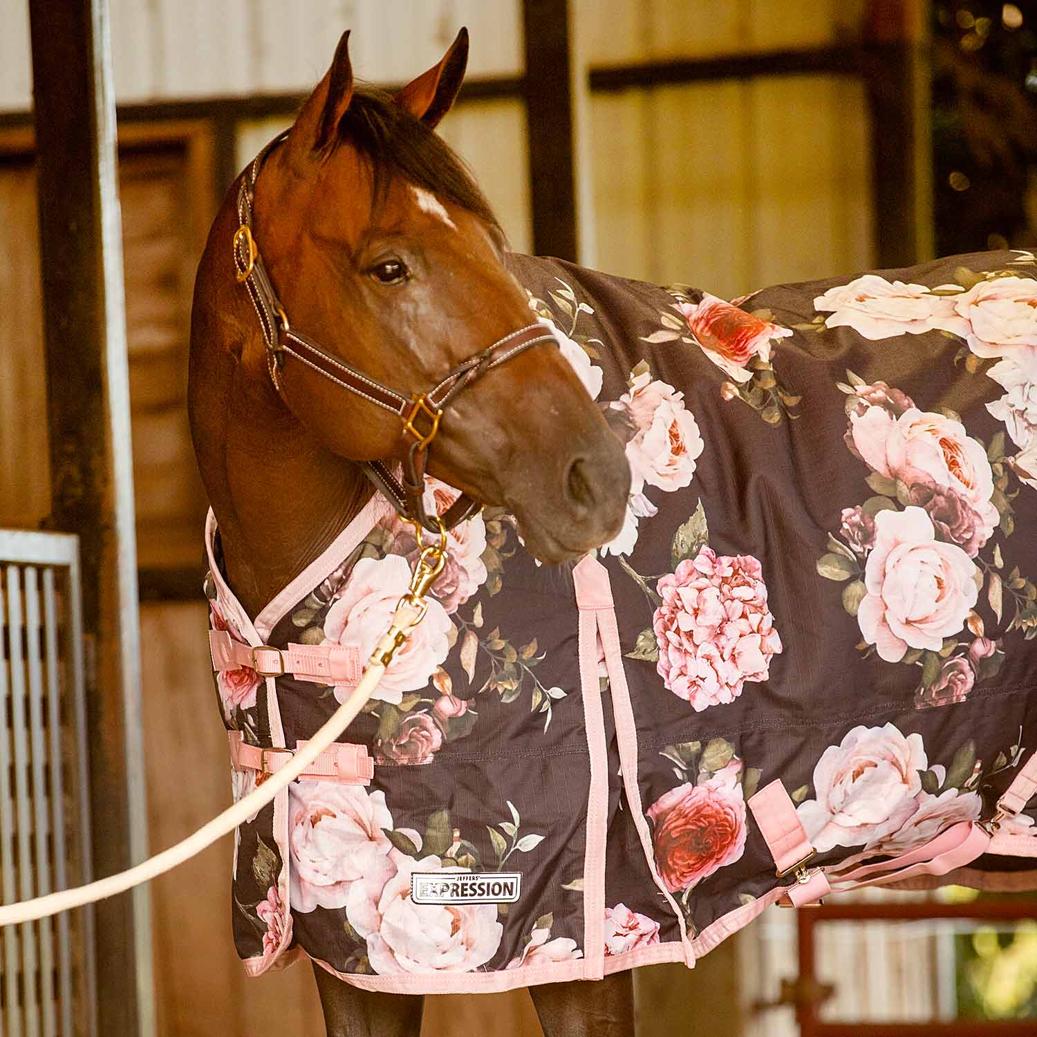 Expression 1200 Denier Standard Neck Horse Turnout Sheet, 0 Gram