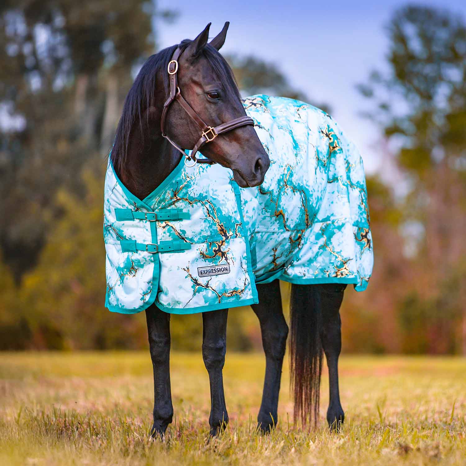 Expression 1200 Denier Standard Neck Horse Turnout Sheet, 0 Gram