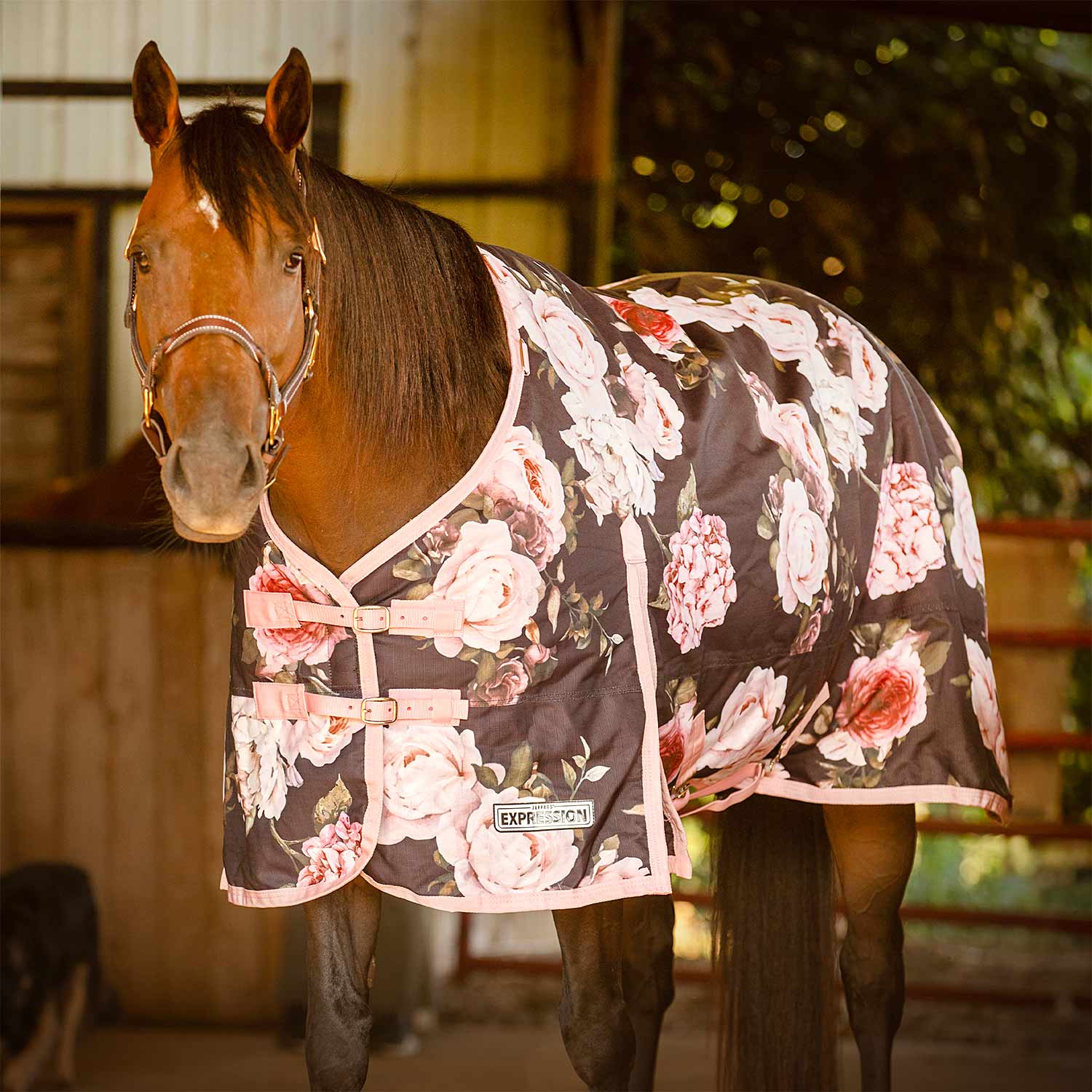 Expression 1200 Denier Standard Neck Horse Turnout Sheet, 0 Gram