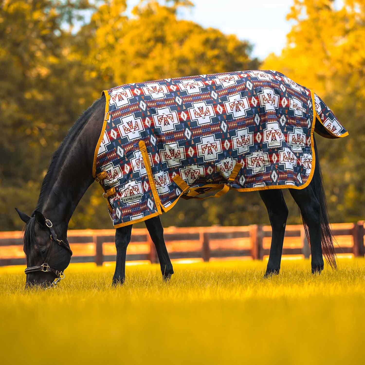 Expression 1200 Denier Standard Neck Horse Turnout Sheet, 0 Gram