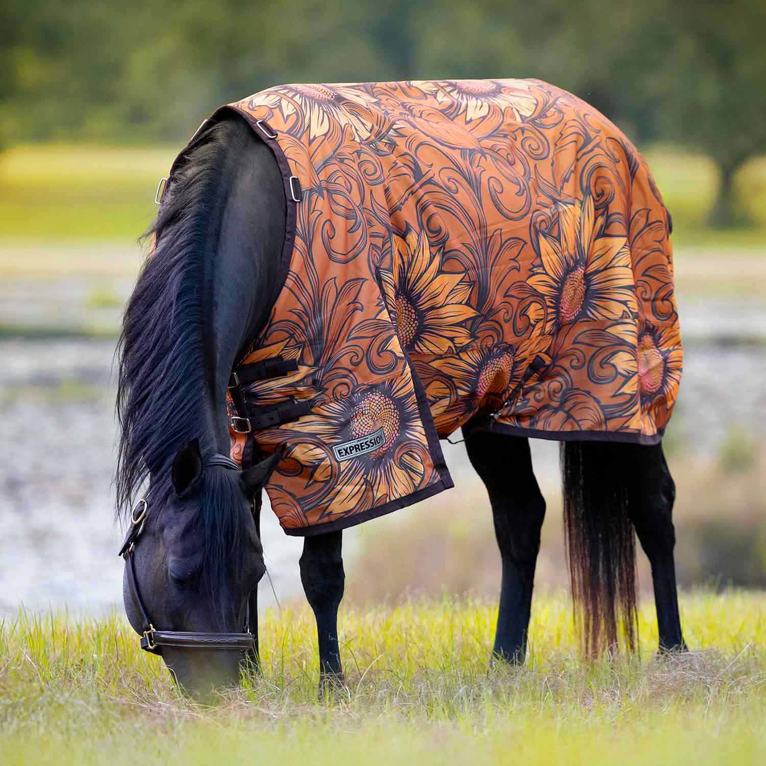 Expression 1200 Denier Standard Neck Horse Turnout Sheet, 0 Gram