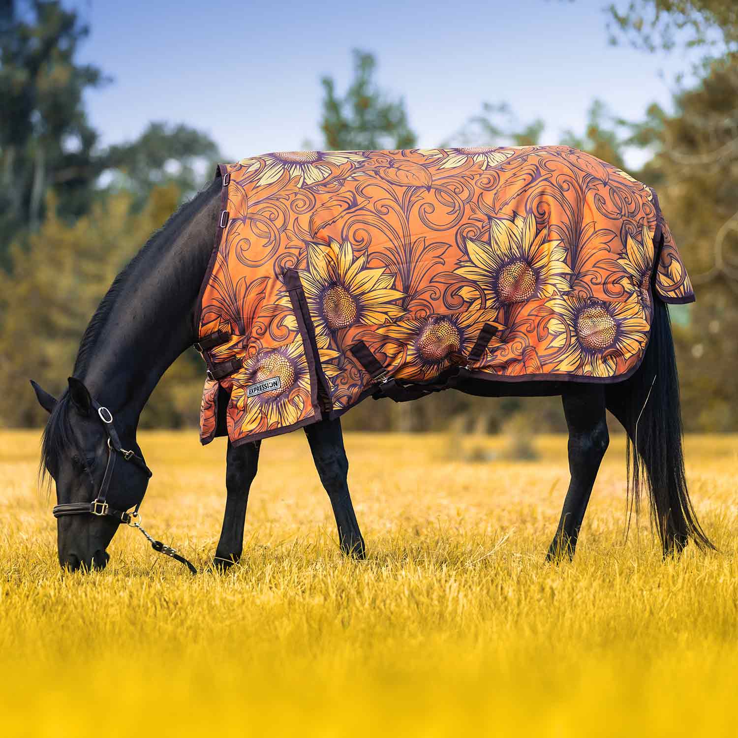 Expression 1200 Denier Standard Neck Horse Turnout Sheet, 0 Gram