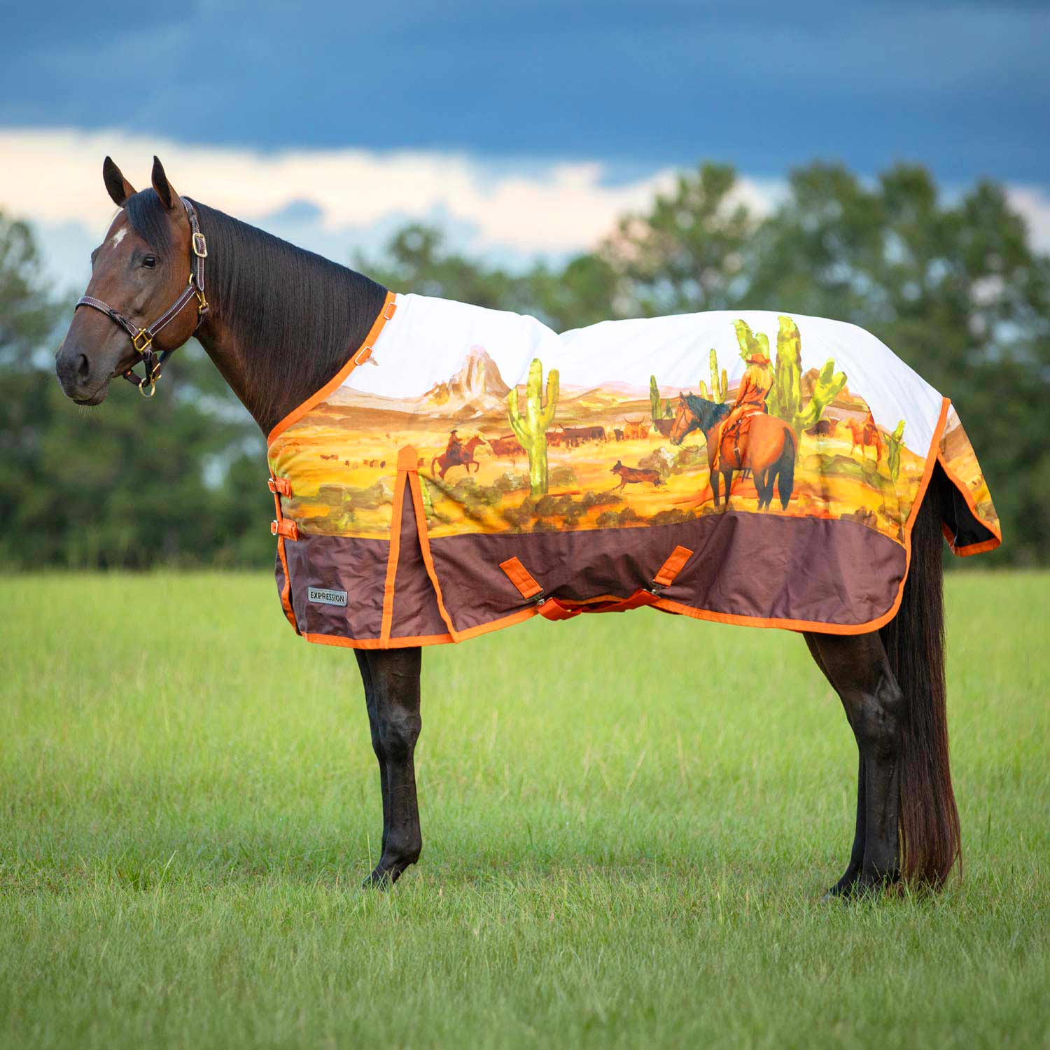 Expression 1200 Denier Standard Neck Horse Turnout Sheet, 0 Gram