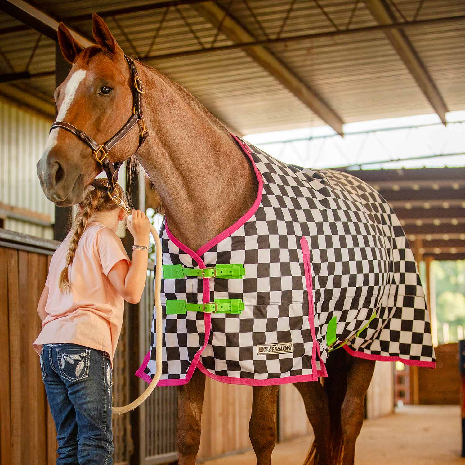 Expression 1200 Denier Standard Neck Horse Turnout Sheet, 0 Gram