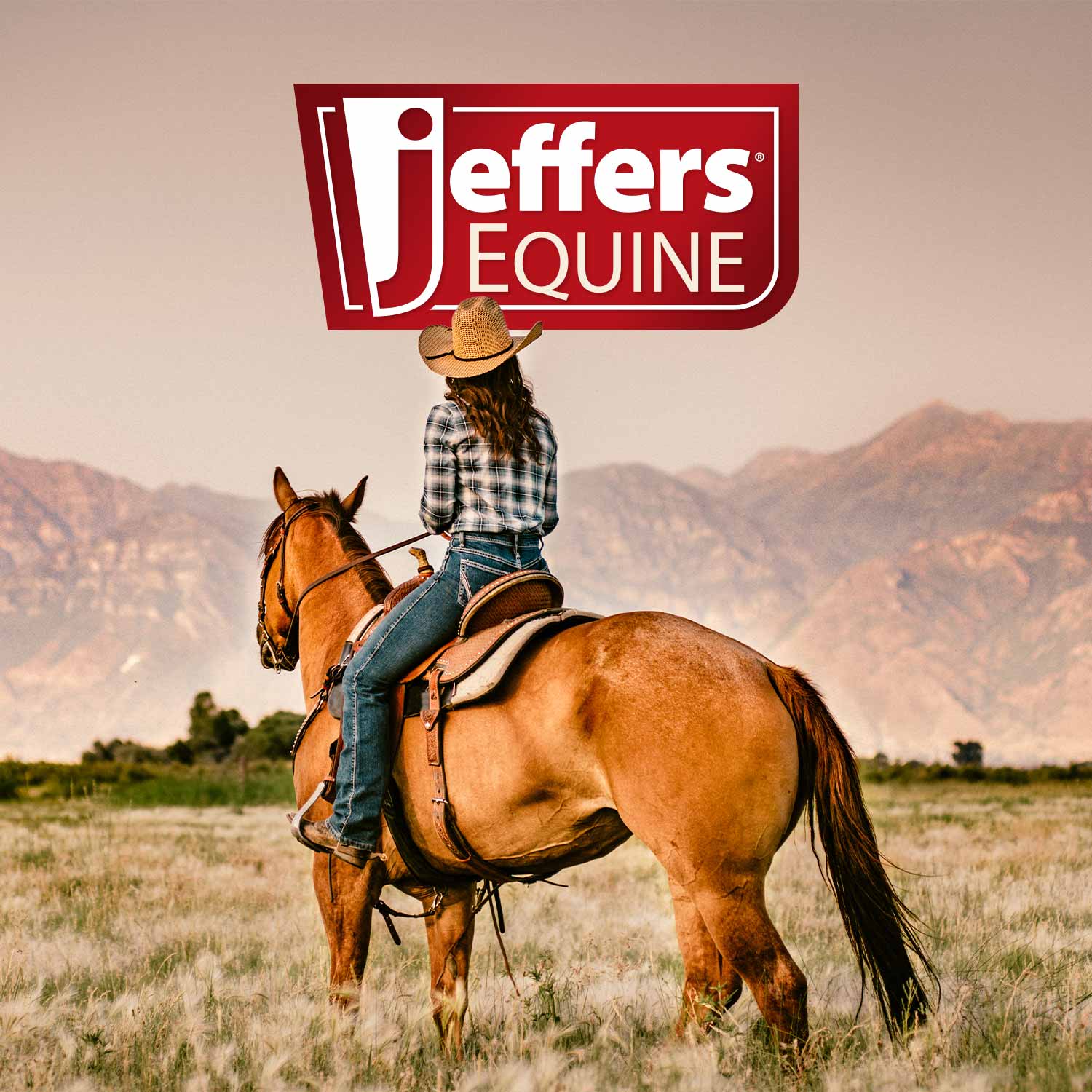 Expression Horse Trailer Corner Feeder