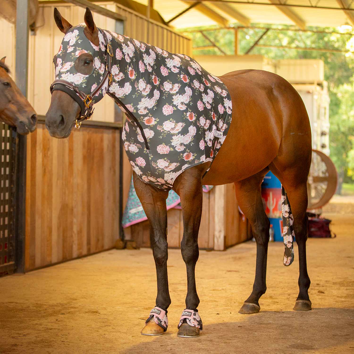 Expression Lycra Hood for Horses